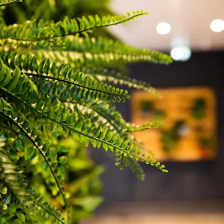 Szálloda Ibis Paris Porte D'orleans 3*