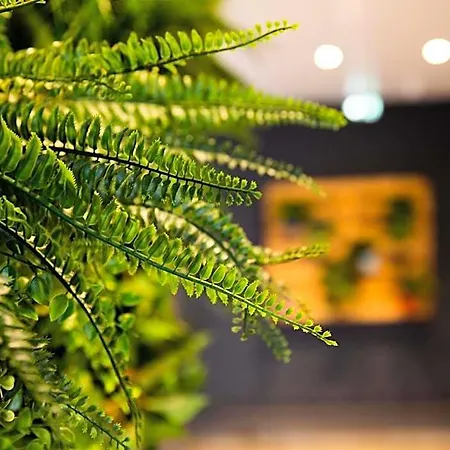 Hotel Ibis Paris Porte D'orleans 3*