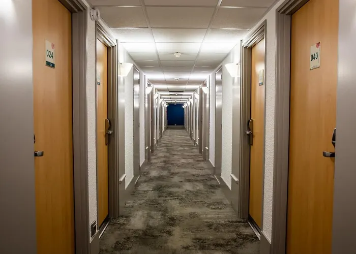 Ibis Paris Porte D'orleans 3* Montrouge