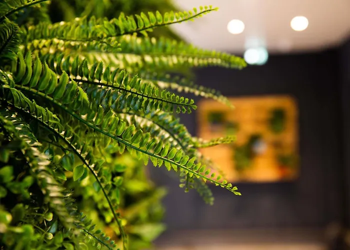 Otel Ibis Paris Porte D'orleans 3*