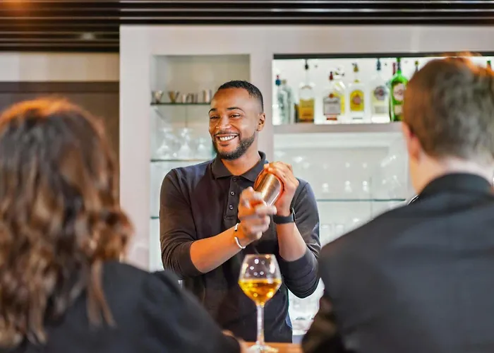 Otel Ibis Paris Porte D'orleans Montrouge